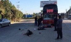 深圳车祸最新爆料,悲剧瞬间，真相待解